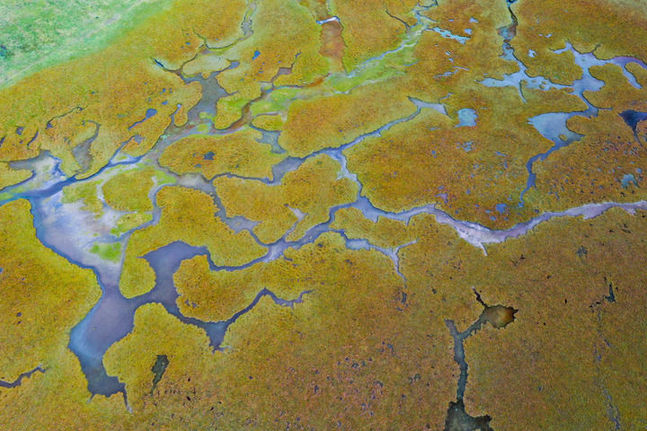 筑牢祖國生態安全屏障——新時代生態文明建設的西部實踐