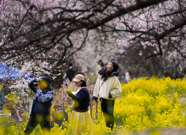 格桑花開映山河 團結奮進新征程——以習近平同志為核心的黨中央情系雪域兒女擘畫西藏發展紀實