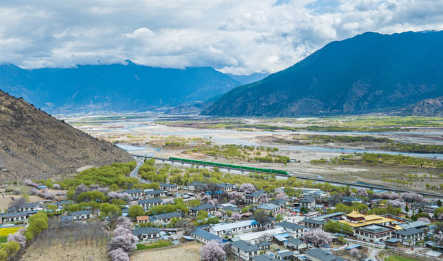 格桑花開映山河 團結奮進新征程——以習近平同志為核心的黨中央情系雪域兒女擘畫西藏發展紀實