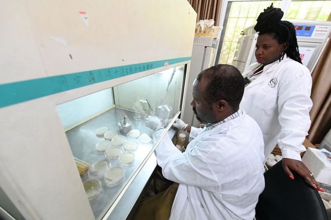 “人類和平與發展的崇高事業必將勝利!”——習近平總書記重要講話揭示歷史前進的必然邏輯