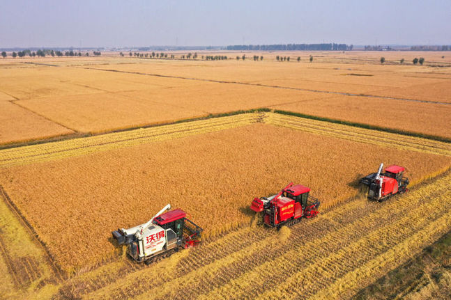 接續奮斗向未來——各地干部群眾在四中全會精神指引下奮力拼搏譜新篇